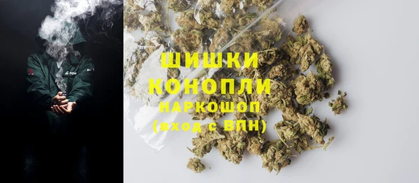 молекула духа Новокубанск