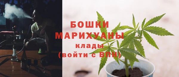 молекула духа Новокубанск
