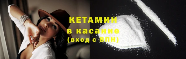 трава Новодвинск