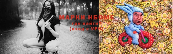 молекула духа Новокубанск