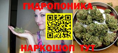 СК Балашиха