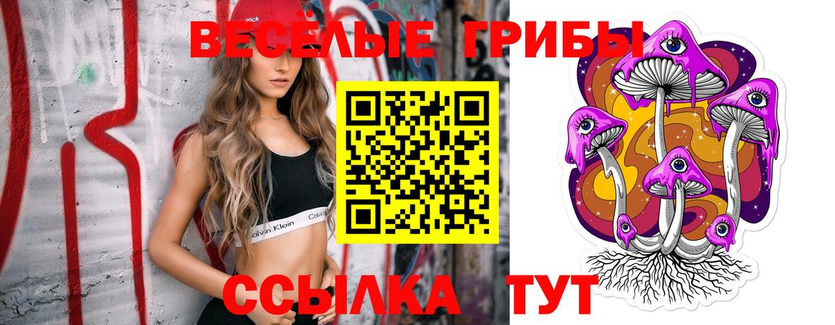 Большой Камень  где можно купить   Вход с VPN  Псилоцибиновые грибы мицелий  Галлюциногенные грибы Cubensis 