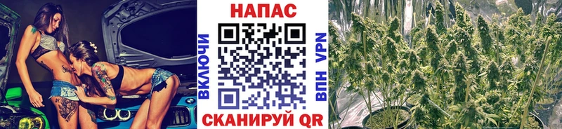 Бошки марихуана SATIVA & INDICA Большой Камень